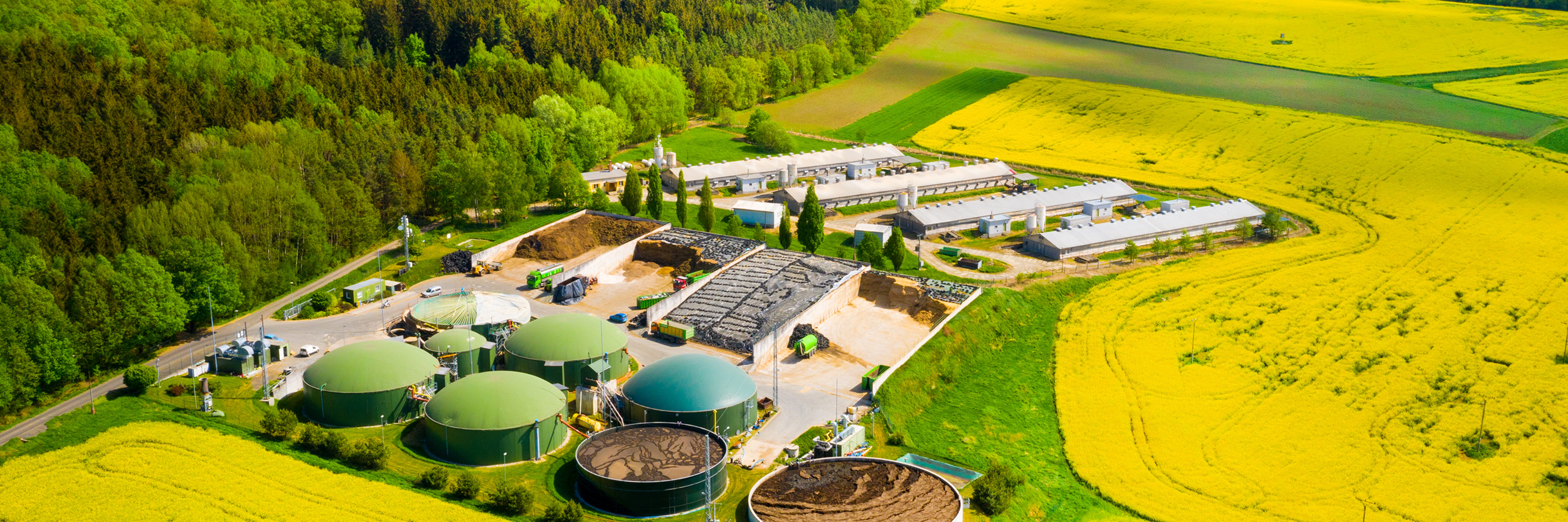 Renewable Natural Gas